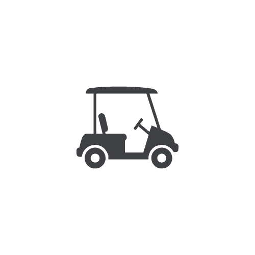 Buggy Hire